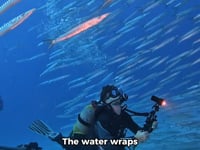 Sergio Bellido Garcia