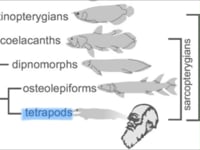Yin María Odero de Dios