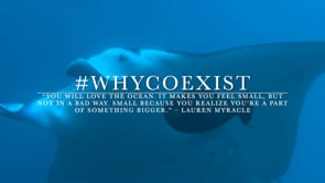 Emilie Julin Johansen