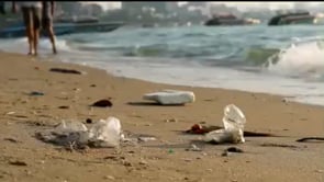 Catalina Cibotareanu