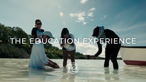 The Education Experience