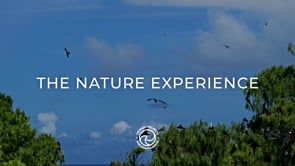 The Nature Experience