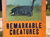 The Resident Aldabra Giant Tortoises