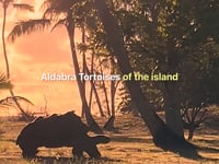 Starting your day on a private island