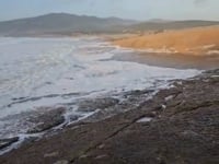 Teresa Ricou Mora do Vale