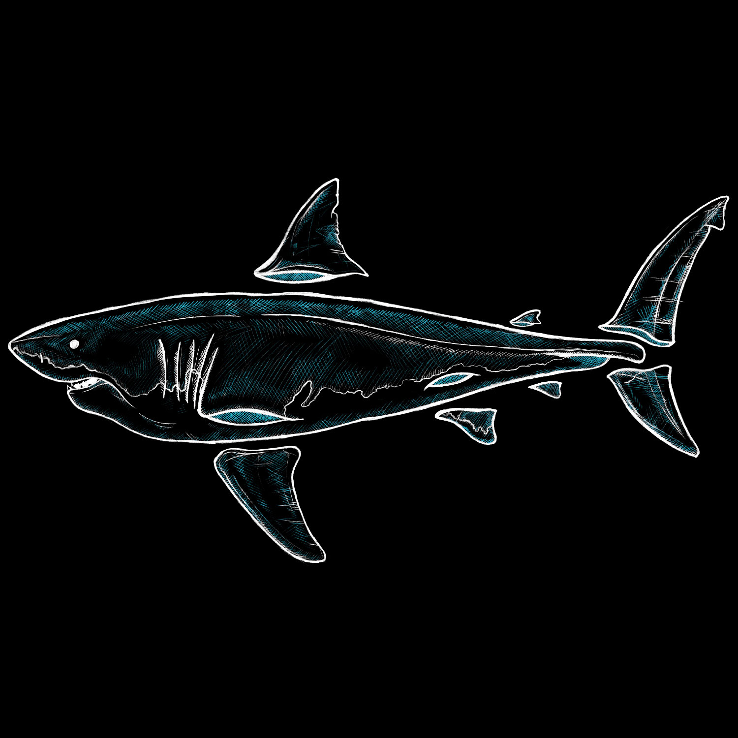 Finned Shark Awareness Organic Cotton T-Shirt - Image 3