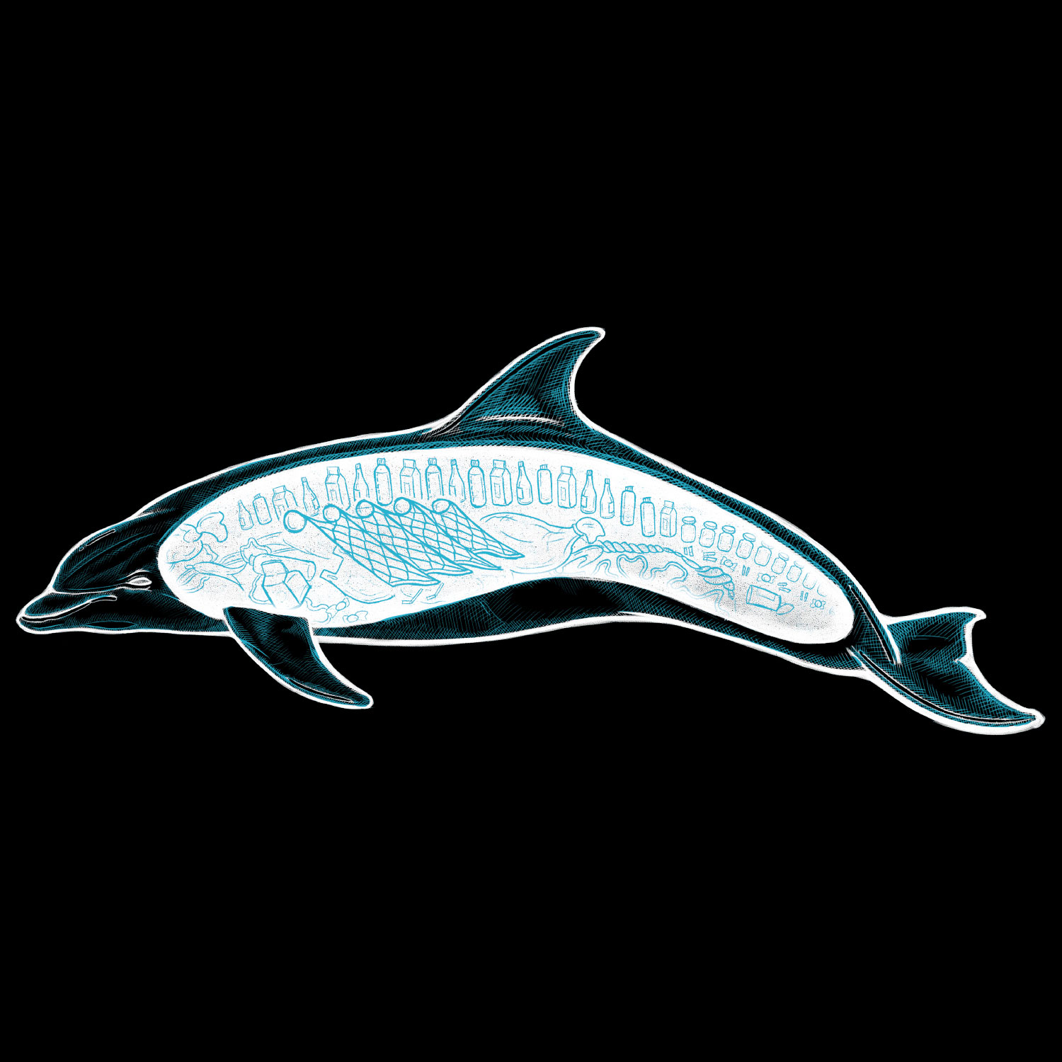 Dolphin Anatomy Organic Cotton T-Shirt - Image 3