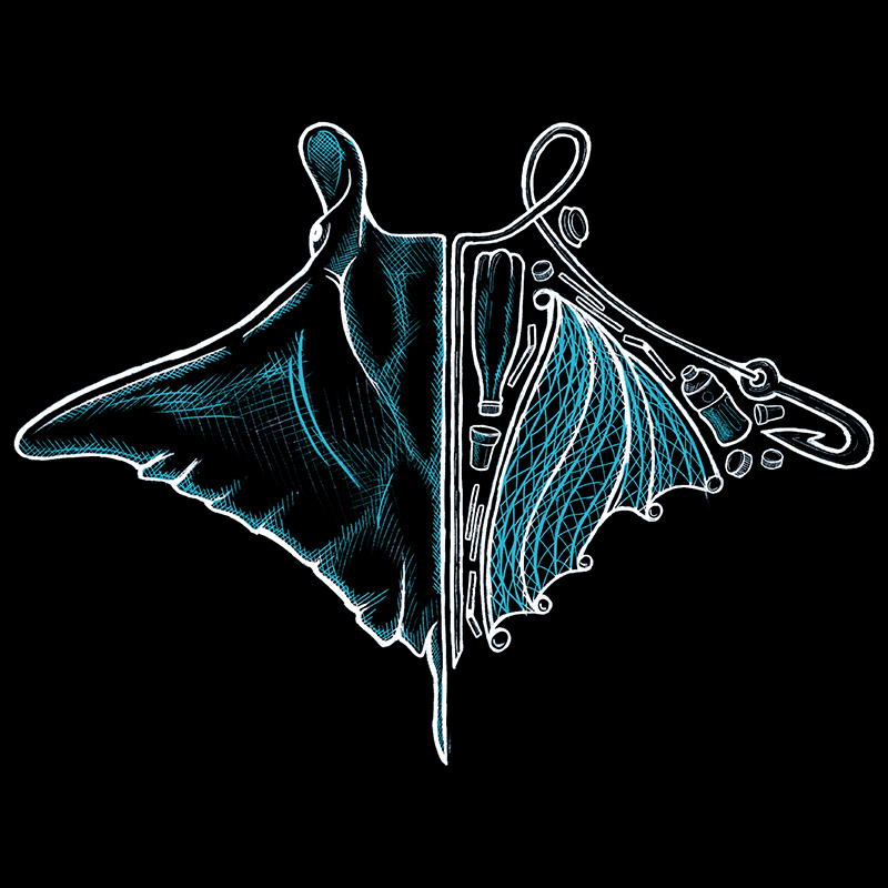 Manta & Ray Organic Cotton T-Shirt - Image 3