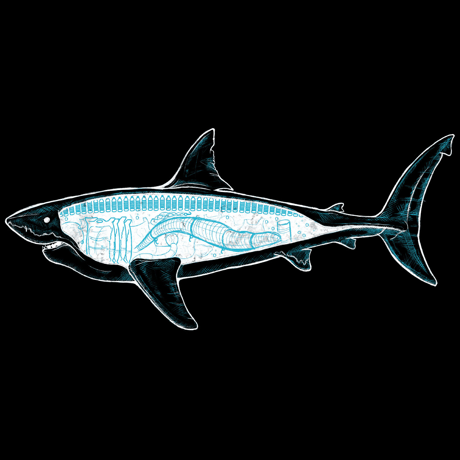 Great White Shark Anatomy Organic Cotton T-Shirt - Image 3