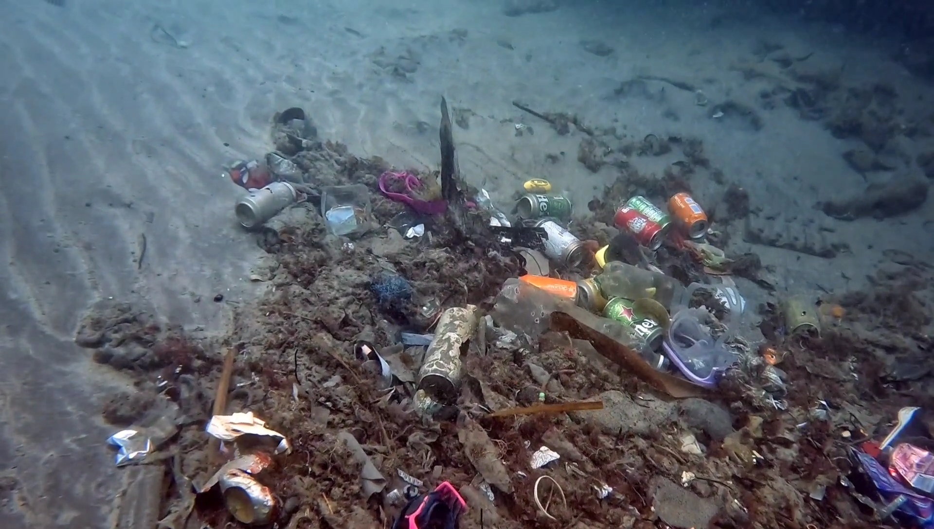Ocean plastic removal