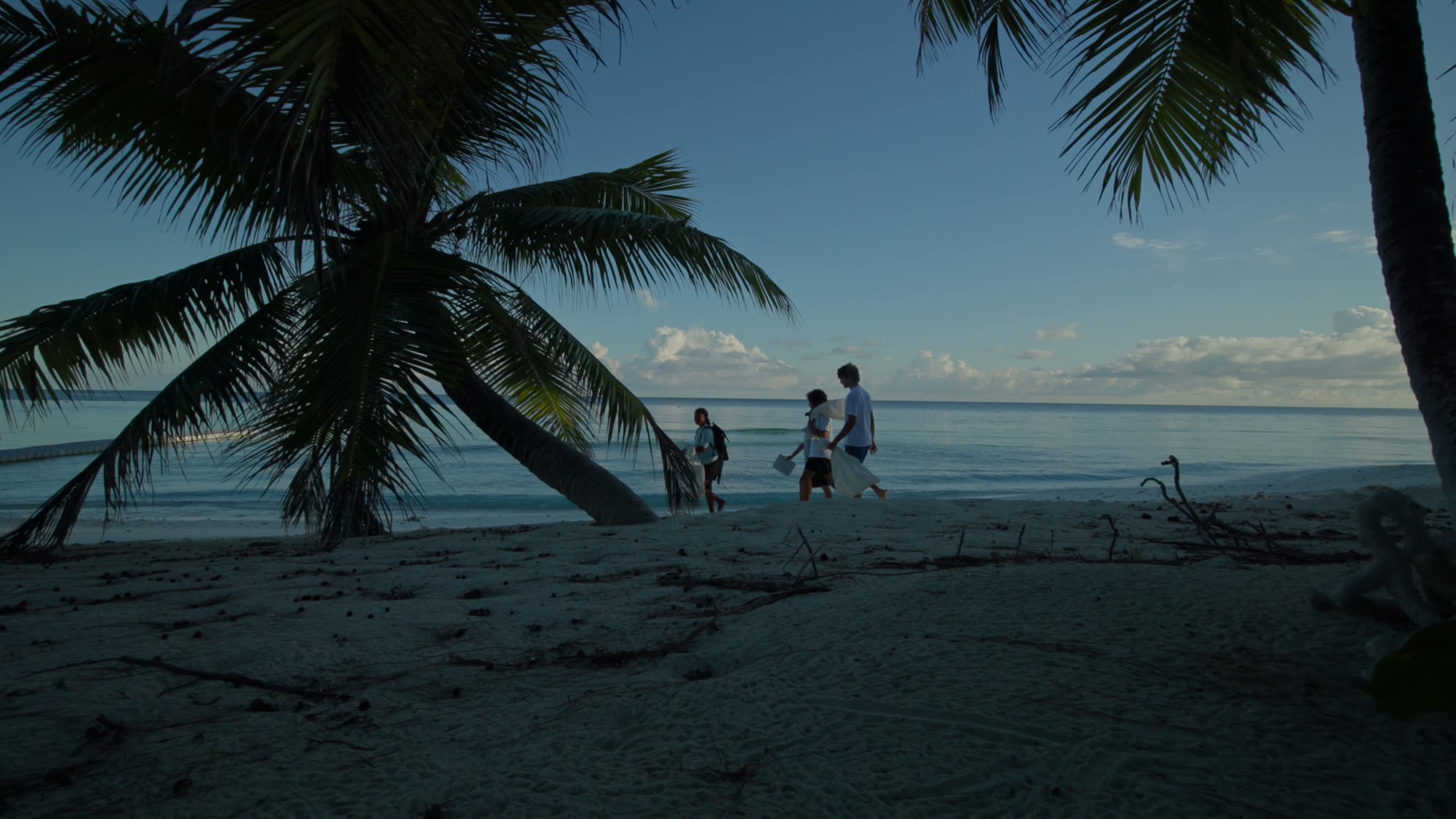 The trip party at the water’s edge at dusk, framed by palms.