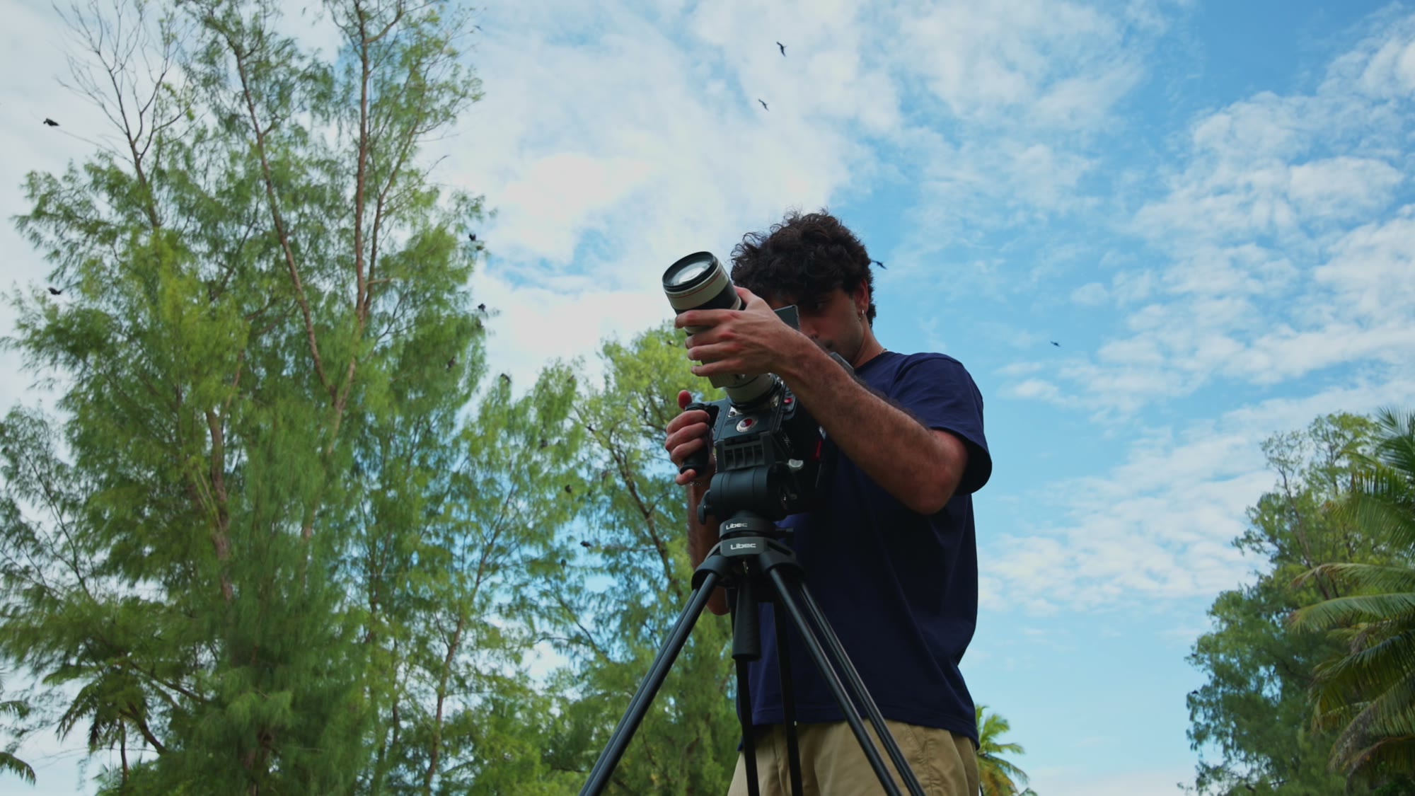 Filming frigate birds with a long lens on a tripod.