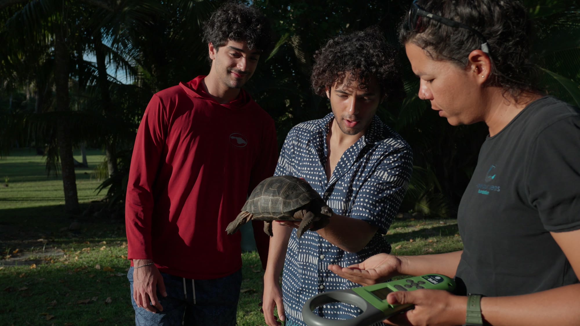 A researcher showing a young tortoise to two of the trip party.